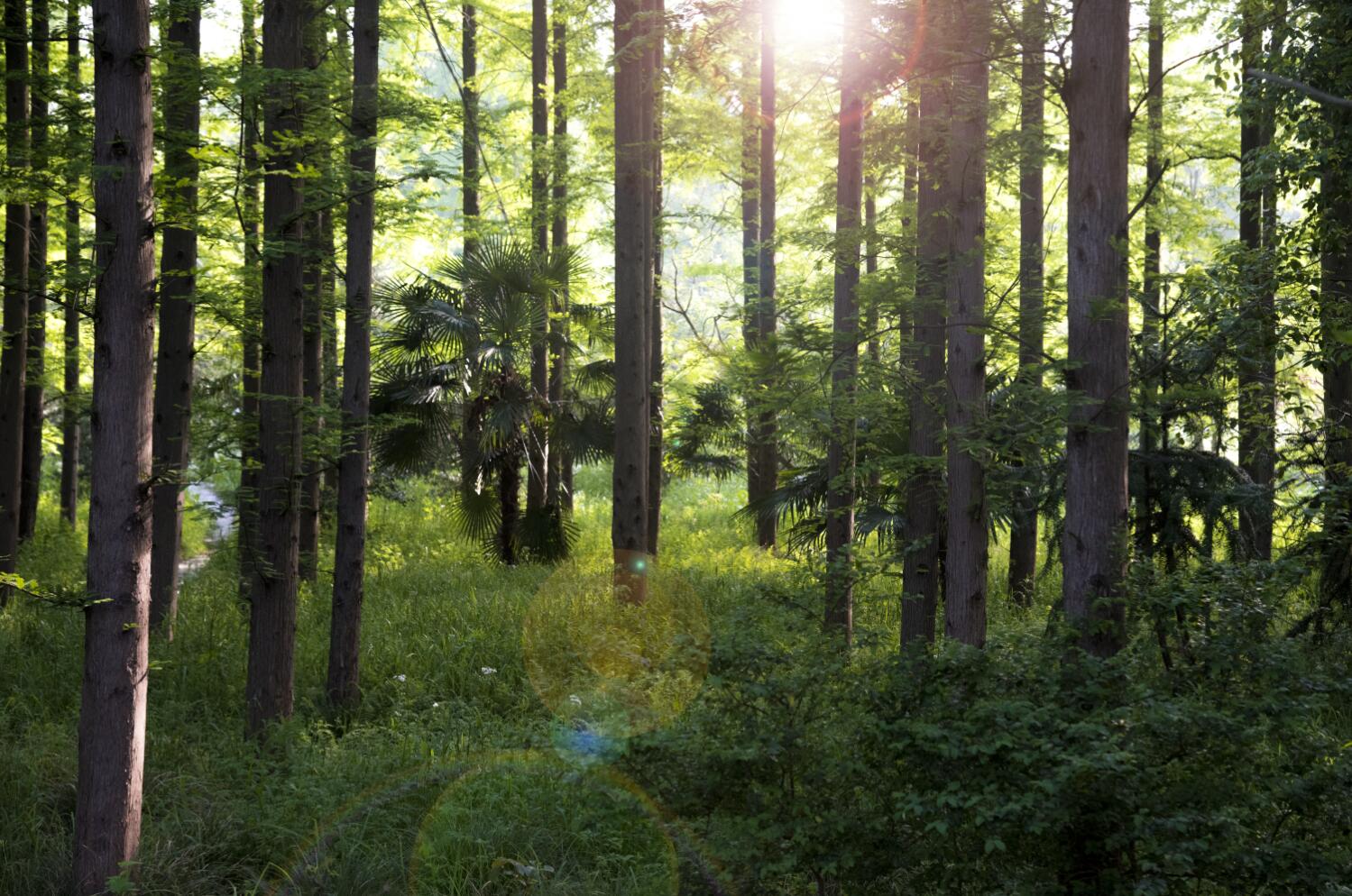 旅游景點vi設計現存的問題
