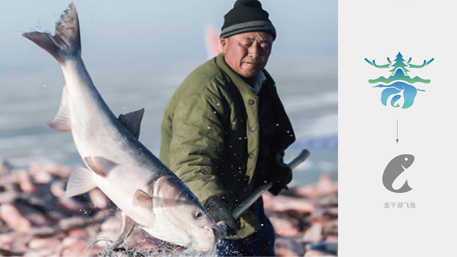 vi設(shè)計杭州有多少家設(shè)計公司?