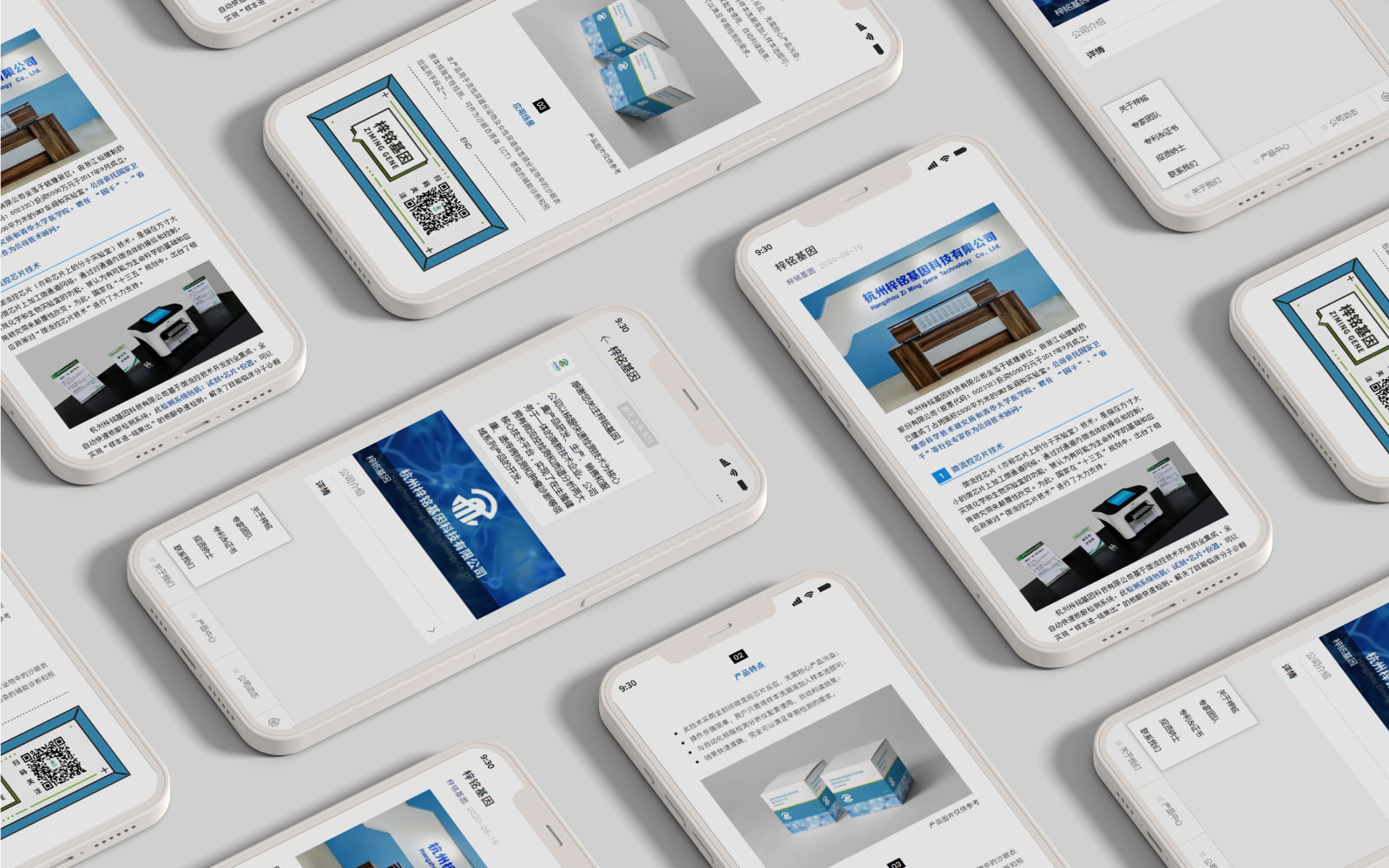 1736141498852880.jpg 5 .jpg