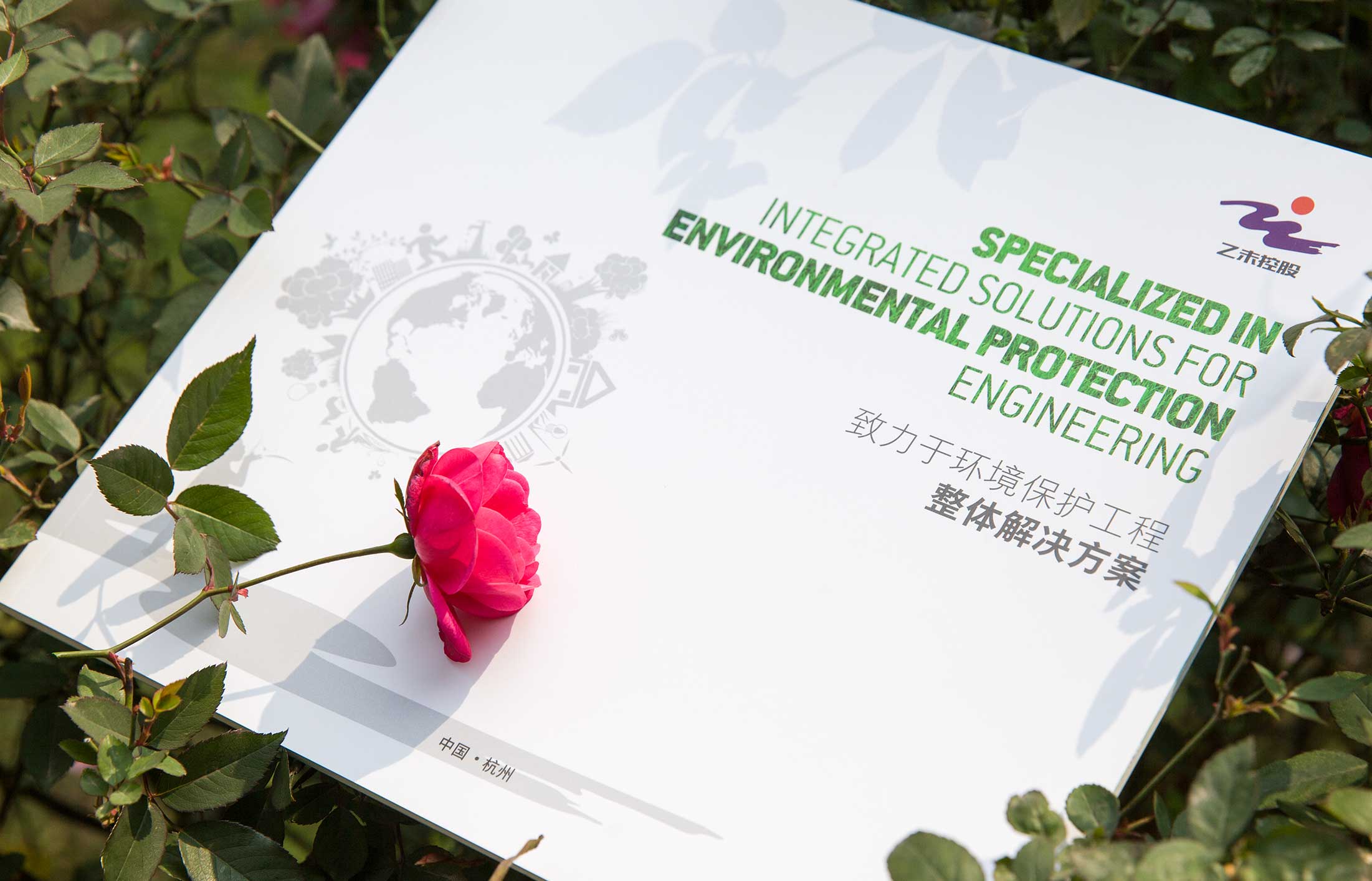 1596850022432823.jpg 5.jpg