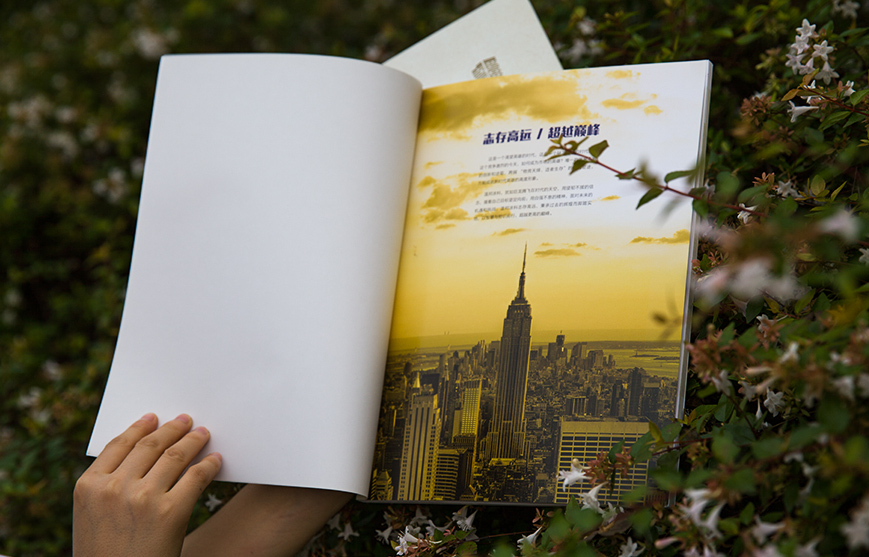 1627721886380673.jpg 54873431.JPG