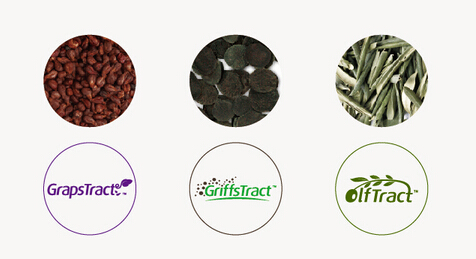 企業VI設計公司