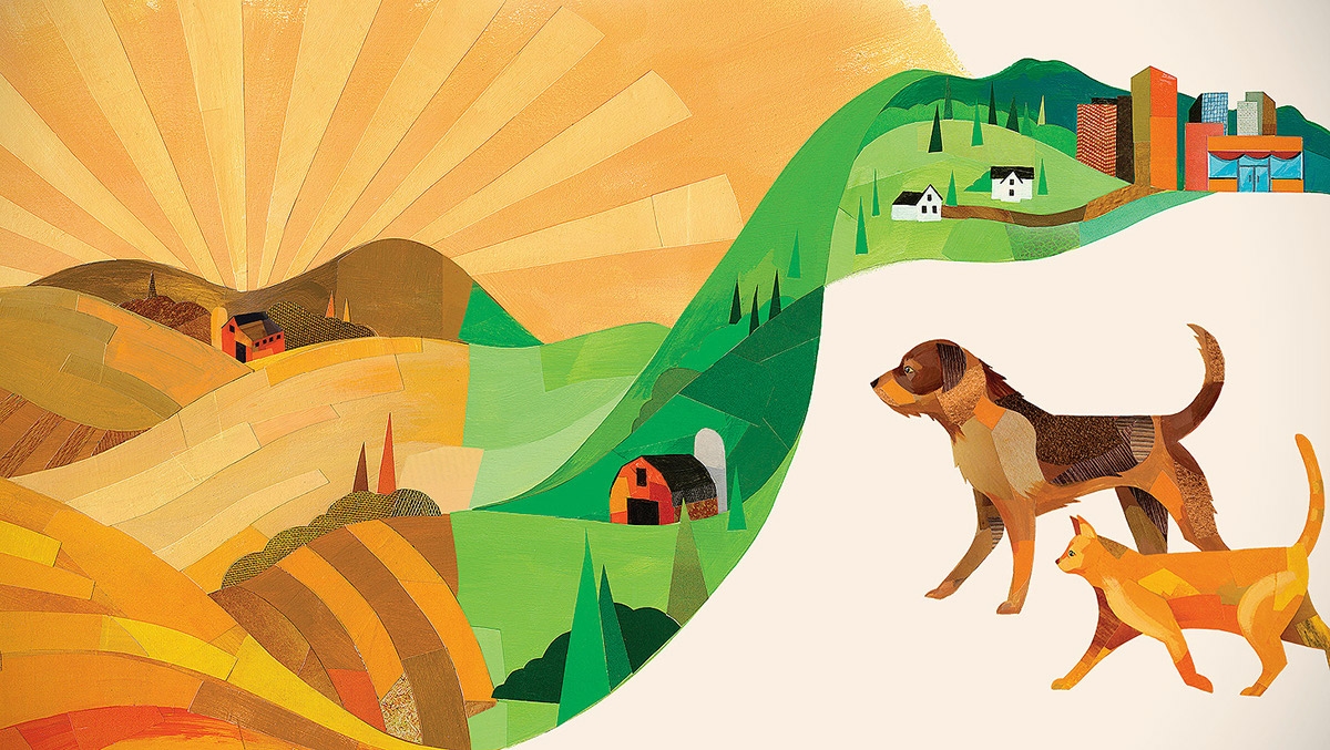 寵物食品也講究大自然，包裝設(shè)計怎敢馬虎！（寵物生活大爆炸）