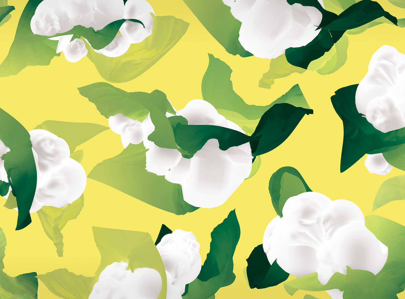 哈根達(dá)斯冰淇淋包裝插畫(huà)