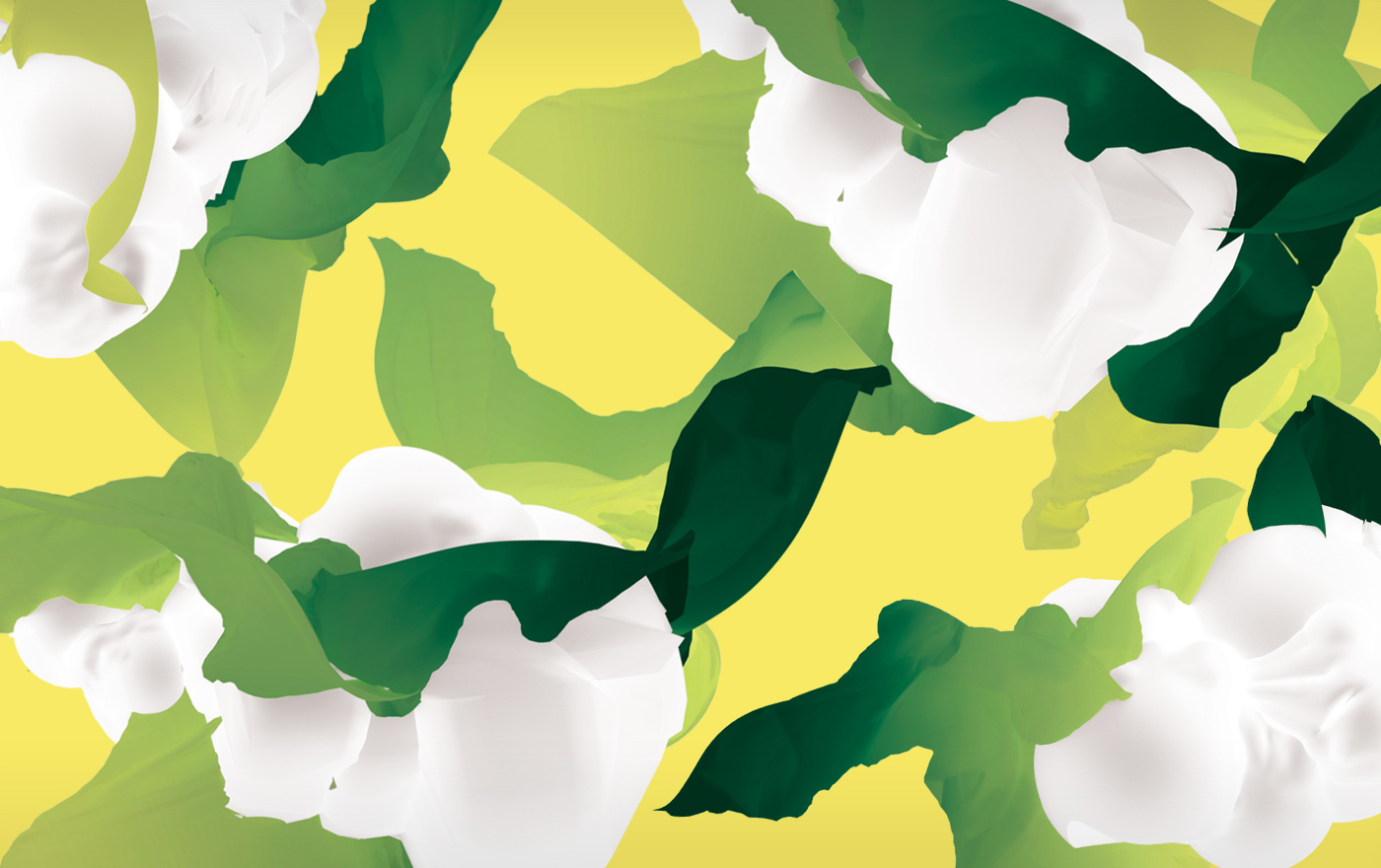 哈根達(dá)斯冰淇淋包裝插畫(huà)