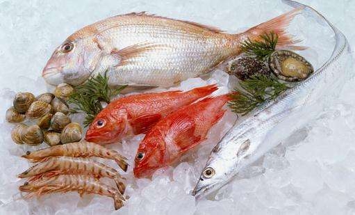 新鮮餐飲食材，冷凍海鮮食品包裝設計