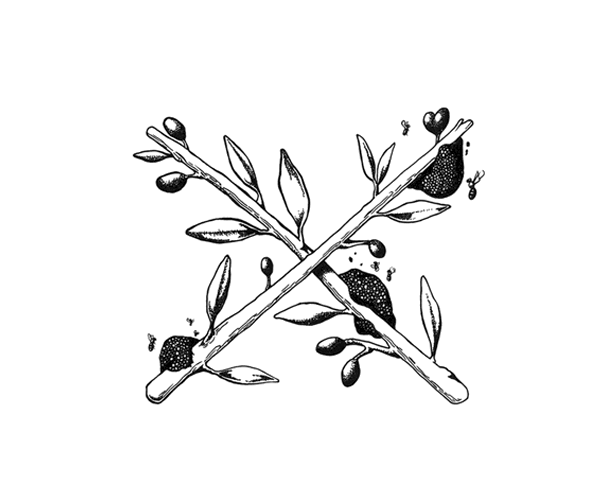 Helleo天然肥皂系列品牌包裝設(shè)計(jì)，六個(gè)肥皂，六個(gè)故事